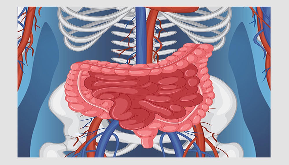 Comprehensive Penile Curvature Treatment in London: Restoring Confidence and Sexual Health